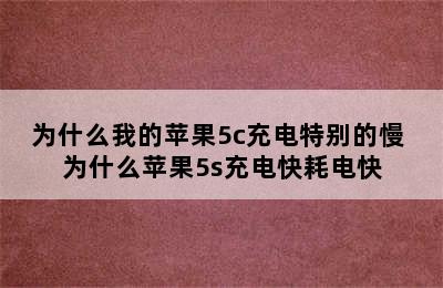 为什么我的苹果5c充电特别的慢 为什么苹果5s充电快耗电快